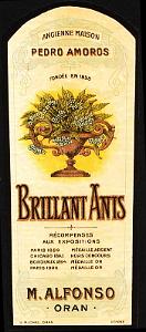 Oran Pub anis 023 (2)